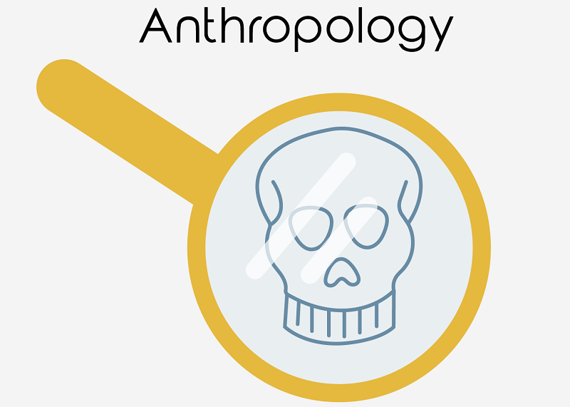 The text anthropology and an image of a magnifing glass looking at a skeleton.